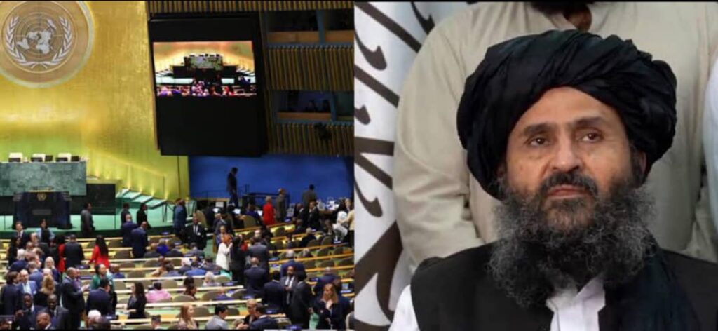 WhatsApp Image 2024-11-12 at 1.00.23 PM