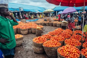 Tomatoes
