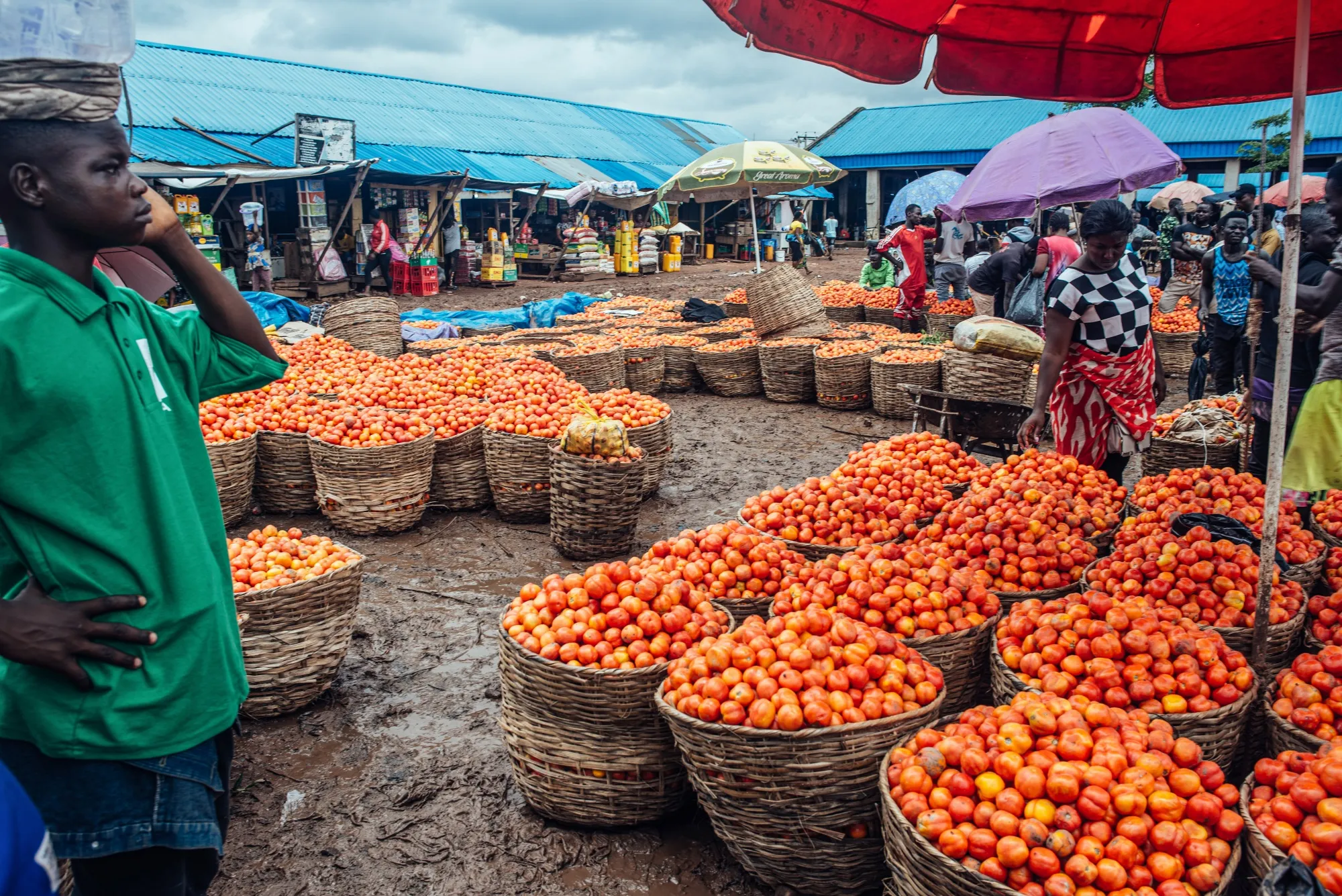 Tomatoes