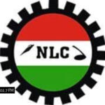 WhatsApp Image 2025-09-08 at 2.13.27 PM