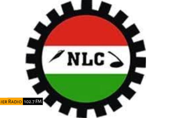 WhatsApp Image 2025-09-08 at 2.13.27 PM