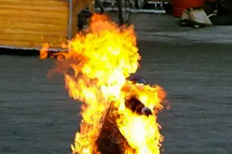 Self-Immolation
