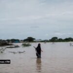 WhatsApp Image 2025-11-02 at 11.00.57