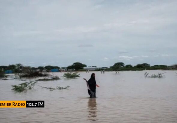 WhatsApp Image 2025-11-02 at 11.00.57