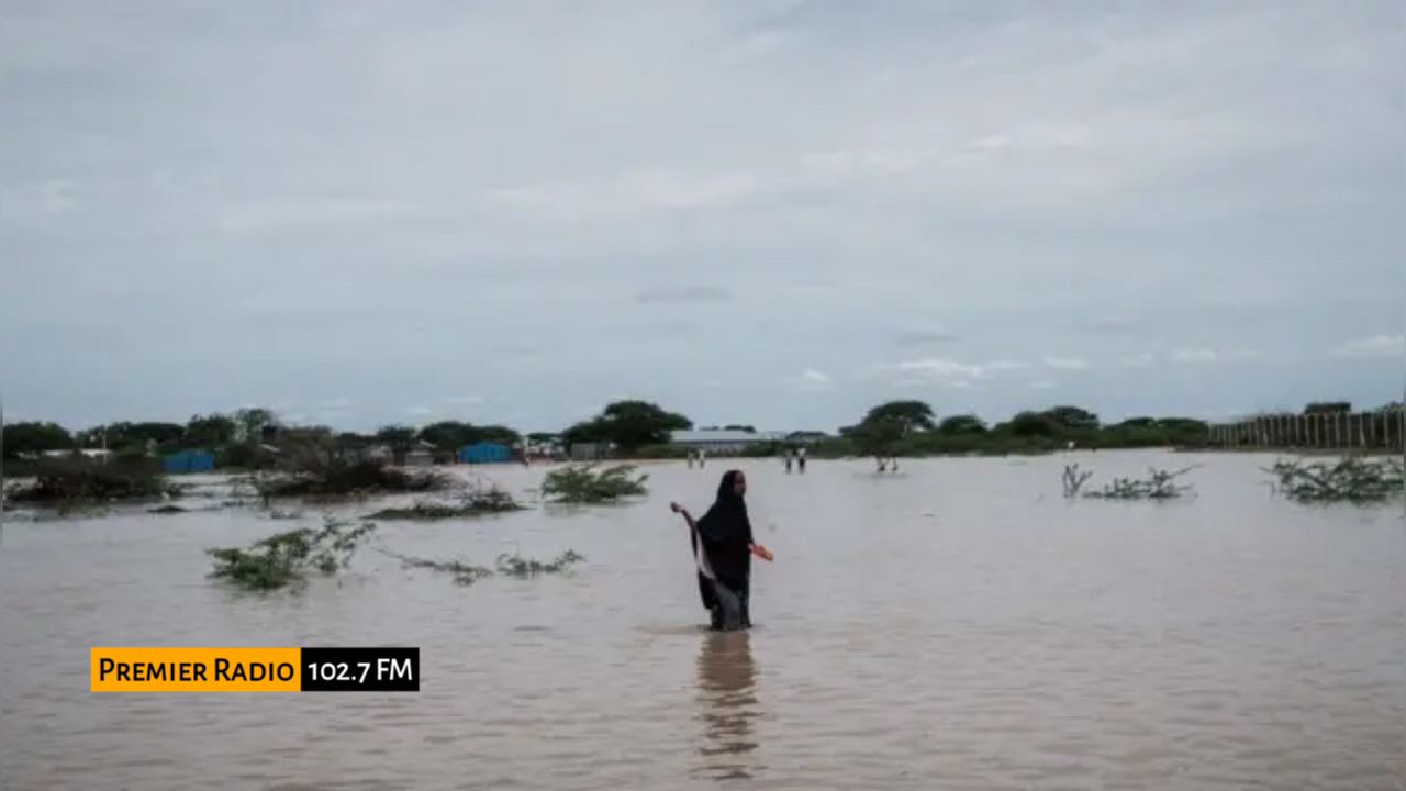 WhatsApp Image 2025-11-02 at 11.00.57