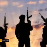 WhatsApp Image 2025-11-11 at 12.48.09 PM