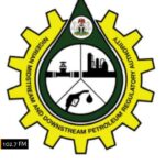 WhatsApp Image 2025-11-13 at 2.09.19 PM