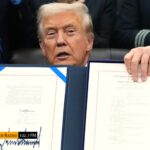 WhatsApp Image 2025-11-13 at 2.23.41 PM