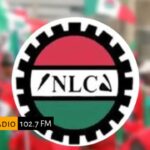 WhatsApp Image 2025-12-13 at 12.44.40 PM