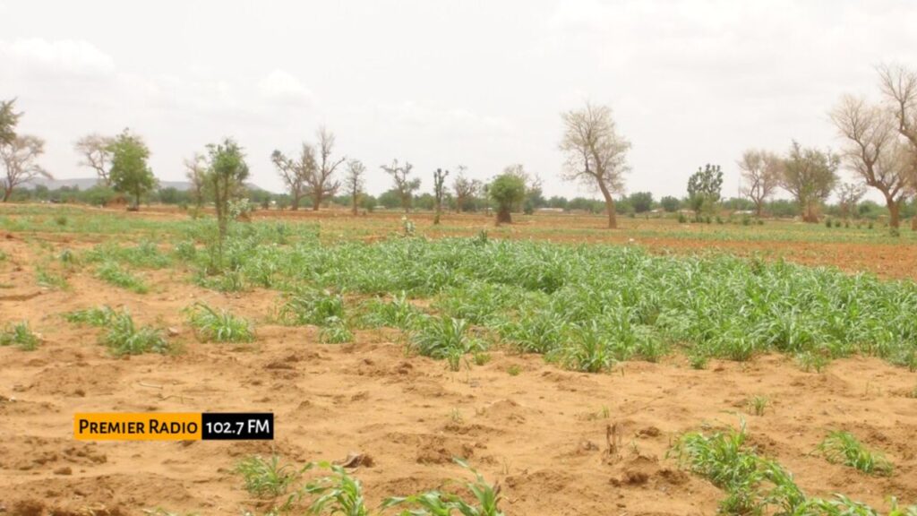 WhatsApp Image 2025-12-24 at 11.57.17