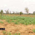 WhatsApp Image 2025-12-24 at 11.57.17