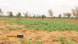 WhatsApp Image 2025-12-24 at 11.57.17