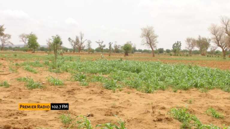 WhatsApp Image 2025-12-24 at 11.57.17