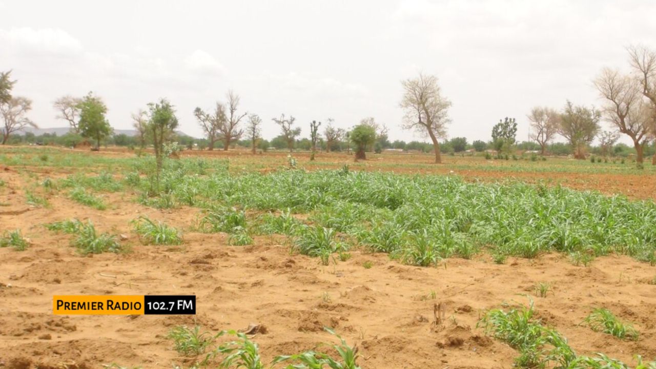 WhatsApp Image 2025-12-24 at 11.57.17