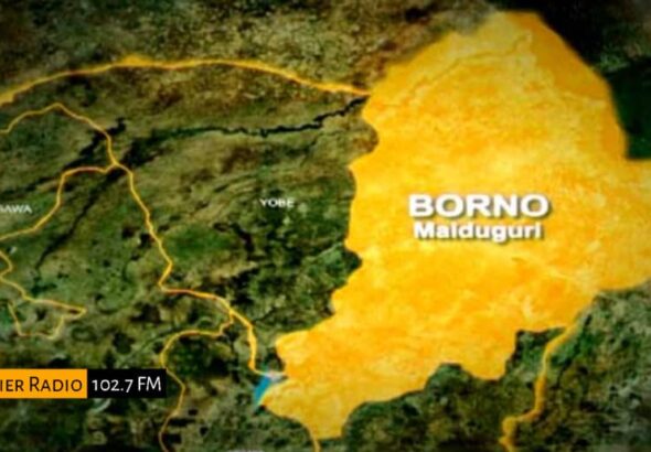 WhatsApp Image 2026-01-06 at 1.56.32 PM