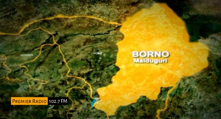 WhatsApp Image 2026-01-06 at 1.56.32 PM