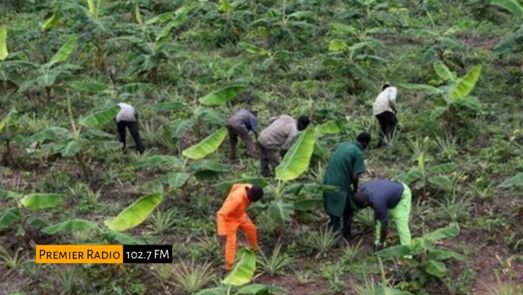 WhatsApp Image 2026-01-13 at 10.31.55 AM