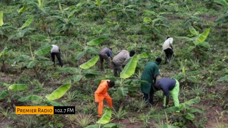 WhatsApp Image 2026-01-13 at 10.31.55 AM