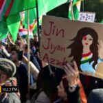 WhatsApp Image 2026-01-13 at 11.52.51 AM