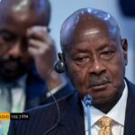 WhatsApp Image 2026-01-15 at 1.33.57 PM