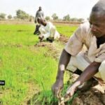 WhatsApp Image 2026-01-18 at 13.21.42