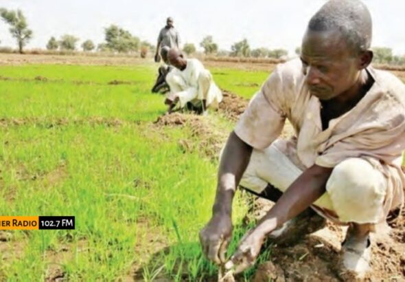 WhatsApp Image 2026-01-18 at 13.21.42