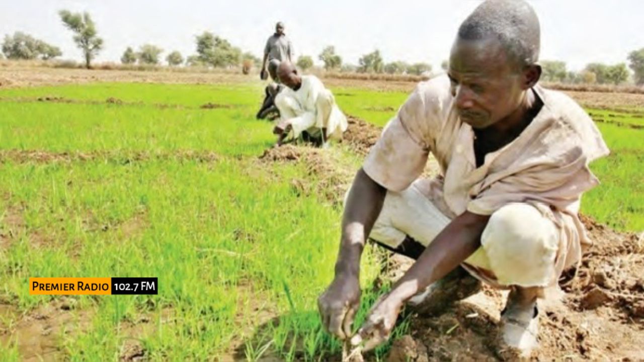 WhatsApp Image 2026-01-18 at 13.21.42