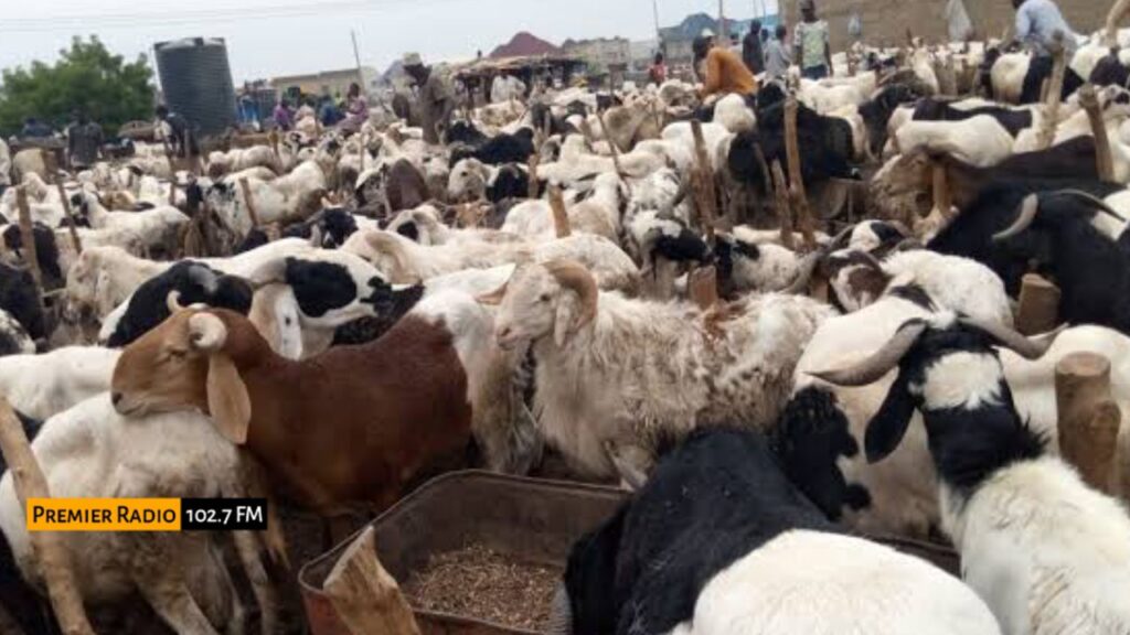 WhatsApp Image 2026-01-18 at 13.22.22