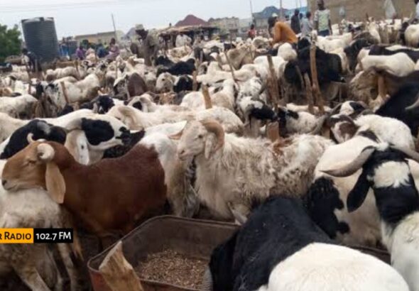 WhatsApp Image 2026-01-18 at 13.22.22