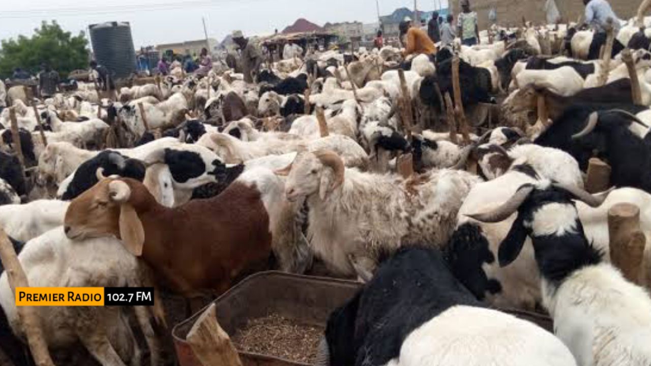 WhatsApp Image 2026-01-18 at 13.22.22