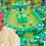 WhatsApp Image 2026-01-31 at 2.13.28 PM