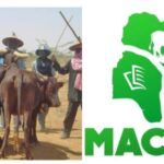 WhatsApp Image 2026-04-13 at 4.38.20 PM