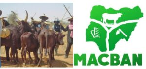 WhatsApp Image 2026-04-13 at 4.38.20 PM