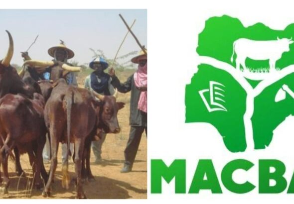 WhatsApp Image 2026-04-13 at 4.38.20 PM