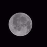 art002e004438-orig (1)