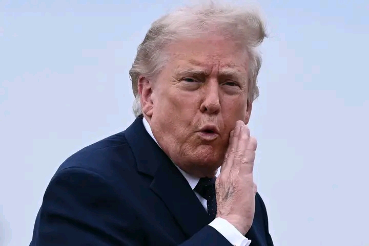 1779580345431