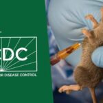 NCDC-AND-Lassa-1