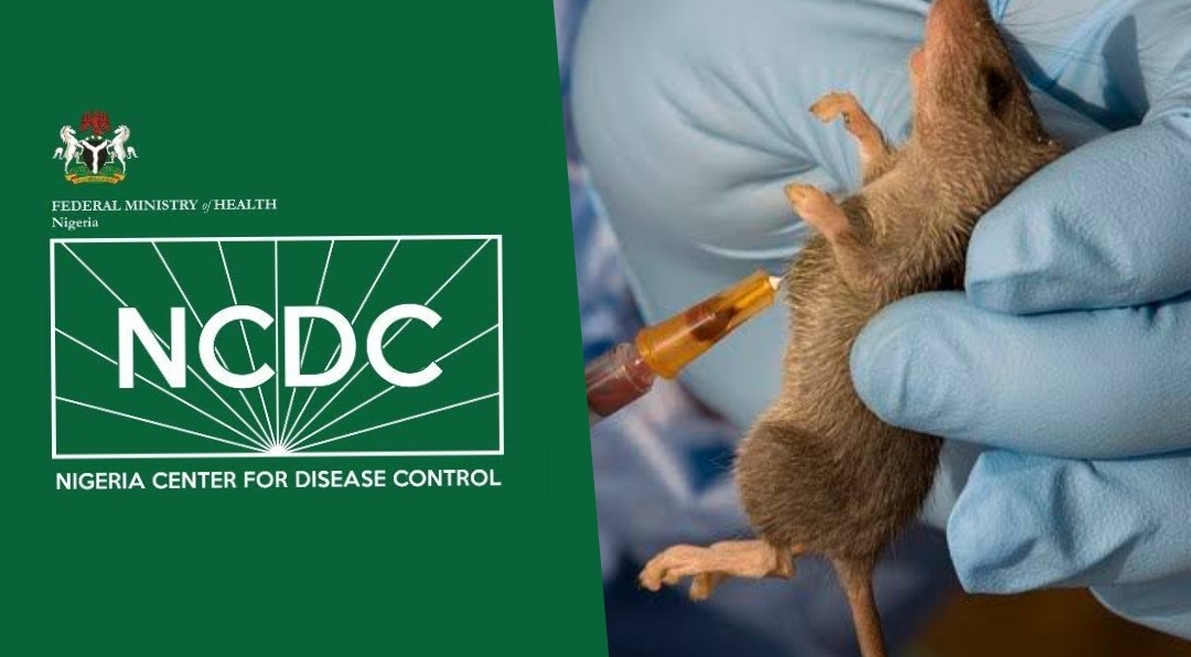 NCDC-AND-Lassa-1