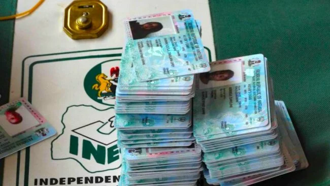 PVCs-1-e1674574047728