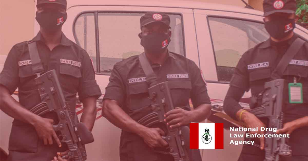 ndlea