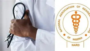 OIP (1)
