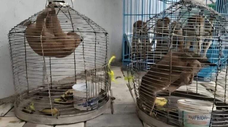WhatsApp Image 2026-08-28 at 4.25.18 PM (1)