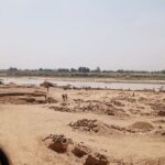 sand